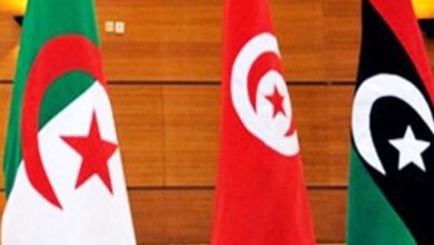 اكتشاف مائدة مائية ضخمة بين تونس وليبيا والجزائر: مخزون يصل إلى 60 ألف مليار متر مكعب