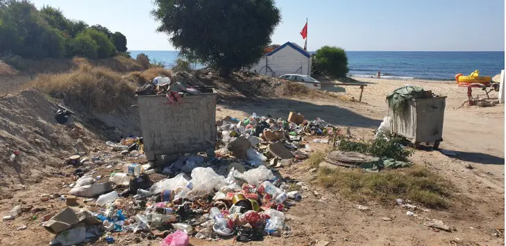 الوضع البيئي في تونس كارثيّ