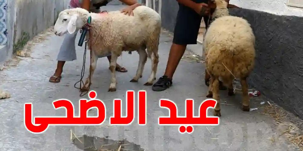 حسابات فلكية تحدد مواعيد وقفة عرفات وعيد الأضحى 2025