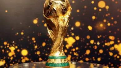 بشرى سارة : شاهد مباريات كأس العالم 2022 مجانًا.. تردد القناة المفتوحة