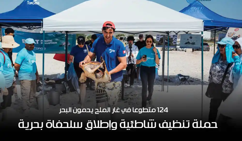 124 متطوعًا في غار الملح يحمون البحر: حملة تنظيف شاطئية وإطلاق سلحفاة بحرية