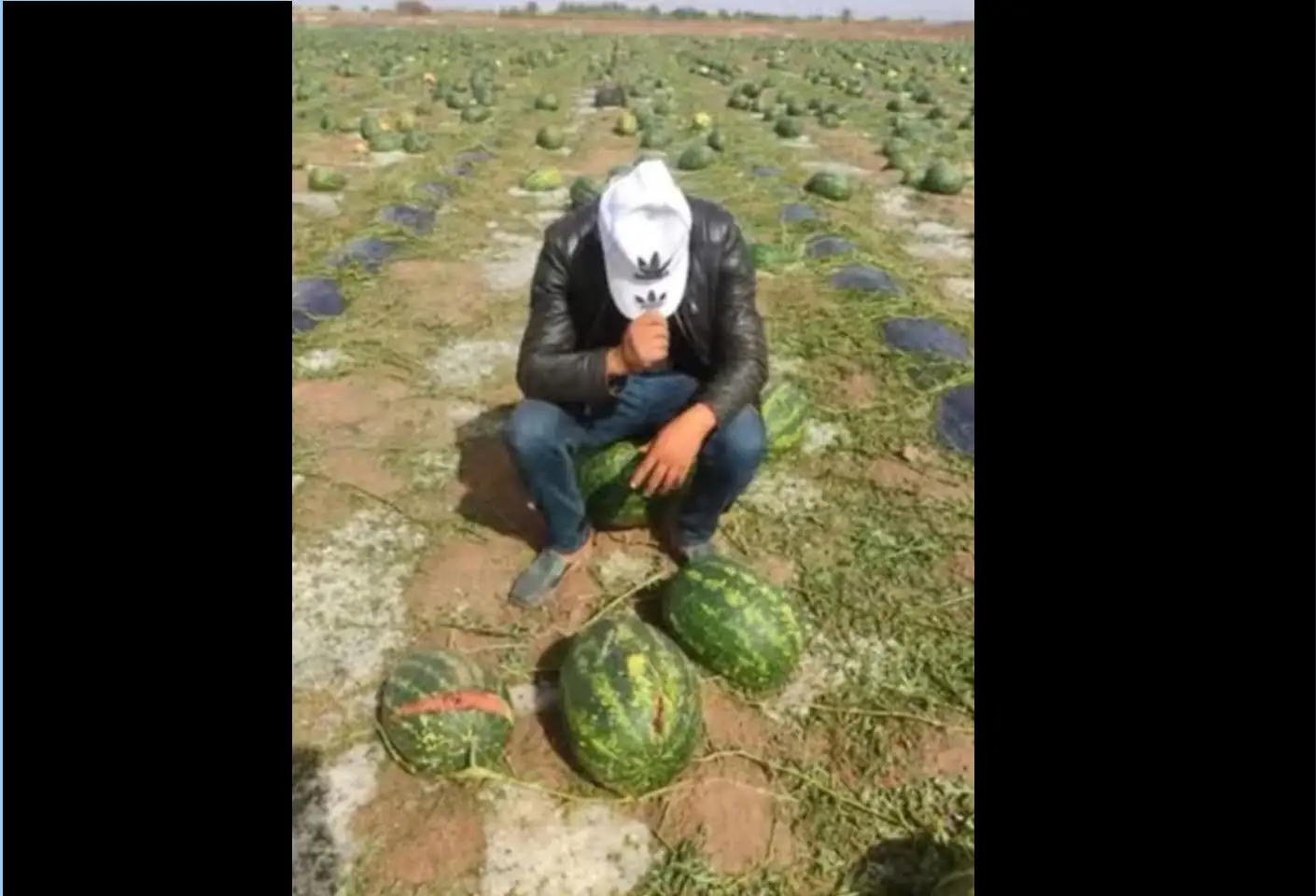 بسبب التقلّبات الجوية… أضرار في الأشجار المثمرة والزراعات الكبرى