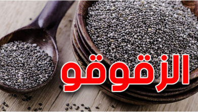 ارتفاع غير مسبوق في أسعار الزقوقو مع اقتراب المولد النبوي الشريف