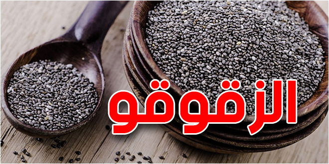 ارتفاع غير مسبوق في أسعار الزقوقو مع اقتراب المولد النبوي الشريف