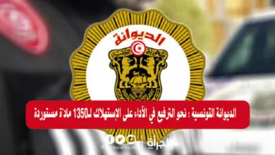 الديوانة التونسية : نحو الترفيع في الآداء على الإستهلاك لـ1350 مادّة مستوردة
