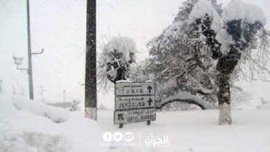 نشرة متابعة للطقس: تواصل نزول الغيث النافع و ثلوج في الشمال الغربي