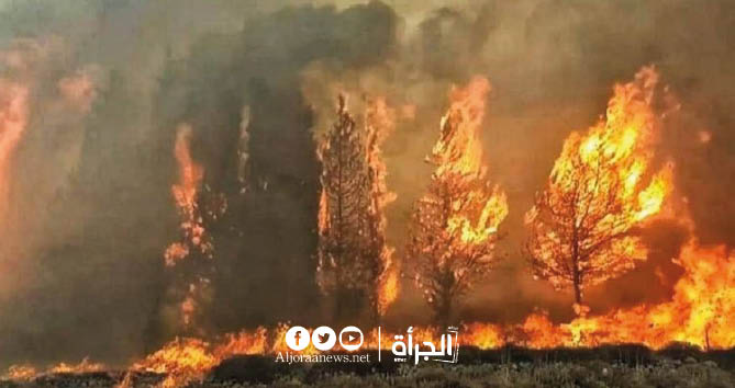 جندوبة: السيطرة على جميع الحرائق بملولة وبني مطير