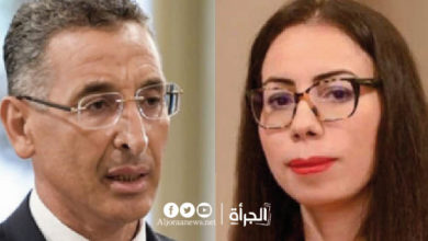 نائب يكشف : رئيس الحكومة إما توفيق شرف الدين أو نادية عكاشة