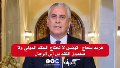 فريد بلحاج : تونس لا تحتاج البنك الدولي ولا صندوق النقد بل إلى الرجال