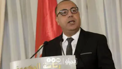 هشام المشيشي: هناك من يكرس كل الجهود لضرب الحكومة وتشويهها